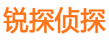 大安区私人侦探